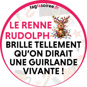 Le renne Rudolph brille tellement qu’on dirait une guirlande vivante !